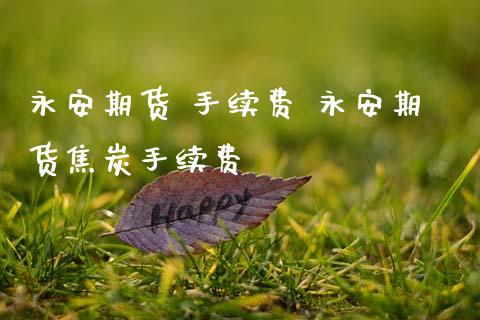 永安期货 手续费 永安期货焦炭手续费_https://www.gzbbqc.com_股指期货_第1张