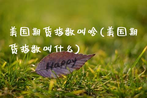 美国期货指数叫啥(美国期货指数叫什么)_https://www.gzbbqc.com_恒指期货_第1张