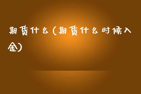 期货什么(期货什么时候入金)_https://www.gzbbqc.com_原油期货_第1张