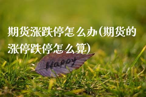 期货涨跌停怎么办(期货的涨停跌停怎么算)_https://www.gzbbqc.com_恒指期货_第1张