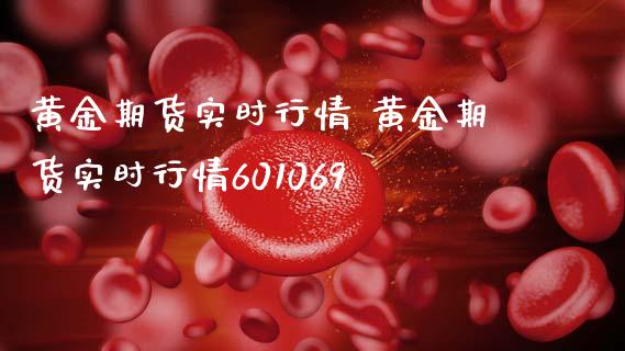 黄金期货实时行情 黄金期货实时行情601069_https://www.gzbbqc.com_道指期货_第1张
