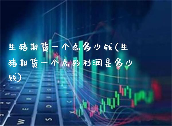 生猪期货一个点多少钱(生猪期货一个点的利润是多少钱)_https://www.gzbbqc.com_期货知识_第1张