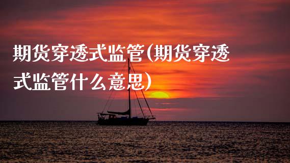 期货穿透式监管(期货穿透式监管什么意思)_https://www.gzbbqc.com_道指期货_第1张