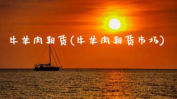 牛羊肉期货(牛羊肉期货市场)_https://www.gzbbqc.com_道指期货_第1张