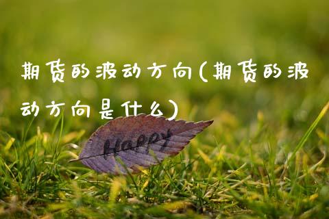 期货的波动方向(期货的波动方向是什么)_https://www.gzbbqc.com_黄金期货_第1张