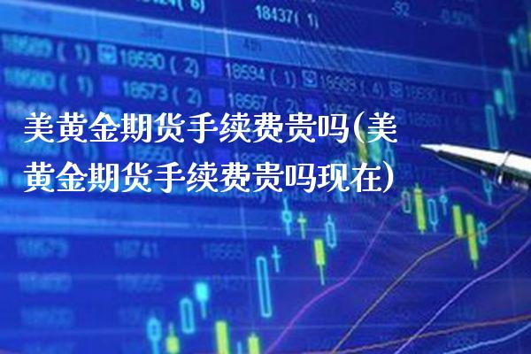 美黄金期货手续费贵吗(美黄金期货手续费贵吗现在)_https://www.gzbbqc.com_恒指期货_第1张