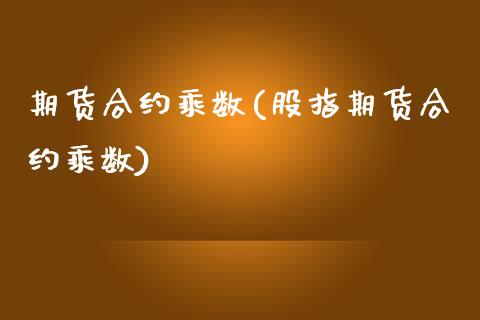 期货合约乘数(股指期货合约乘数)_https://www.gzbbqc.com_纳指期货_第1张