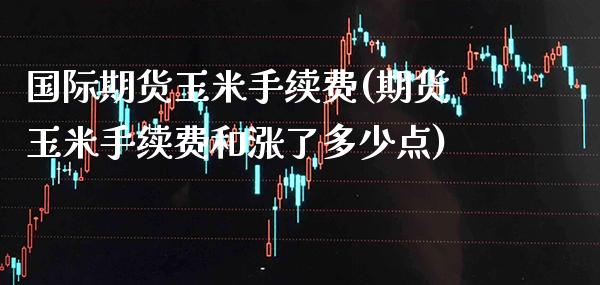 国际期货玉米手续费(期货玉米手续费和涨了多少点)_https://www.gzbbqc.com_道指期货_第1张