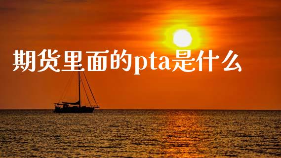 期货里面的pta是什么_https://www.gzbbqc.com_德指期货_第1张