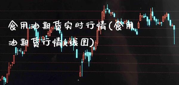食用油期货实时行情(食用油期货行情k线图)_https://www.gzbbqc.com_恒指期货_第1张