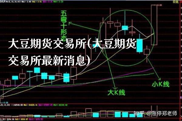 大豆期货交易所(大豆期货交易所最新消息)_https://www.gzbbqc.com_黄金期货_第1张
