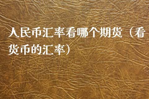 人民币汇率看哪个期货（看货币的汇率）_https://www.gzbbqc.com_黄金期货_第1张