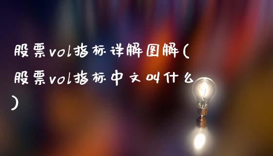 股票vol指标详解图解(股票vol指标中文叫什么)_https://www.gzbbqc.com_股指期货_第1张