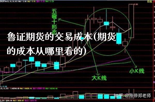 鲁证期货的交易成本(期货的成本从哪里看的)_https://www.gzbbqc.com_未分类_第1张