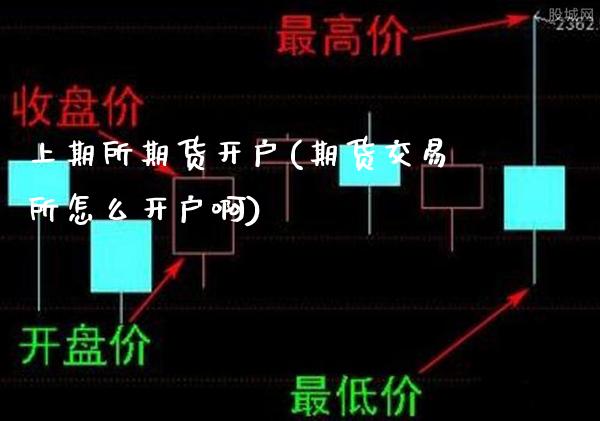 上期所期货开户(期货交易所怎么开户啊)_https://www.gzbbqc.com_期货知识_第1张