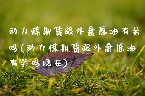 动力煤期货跟外盘原油有关吗(动力煤期货跟外盘原油有关吗现在)_https://www.gzbbqc.com_期货知识_第1张