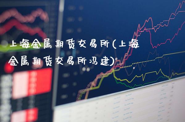 上海金属期货交易所(上海金属期货交易所冯建)_https://www.gzbbqc.com_股指期货_第1张