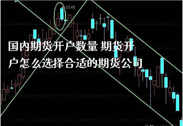 国内期货开户数量 期货开户怎么选择合适的期货公司_https://www.gzbbqc.com_德指期货_第1张