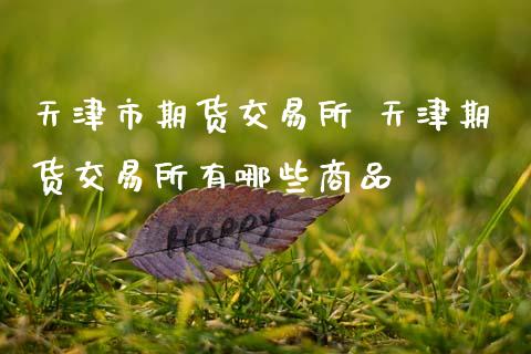 天津市期货交易所 天津期货交易所有哪些商品_https://www.gzbbqc.com_德指期货_第1张