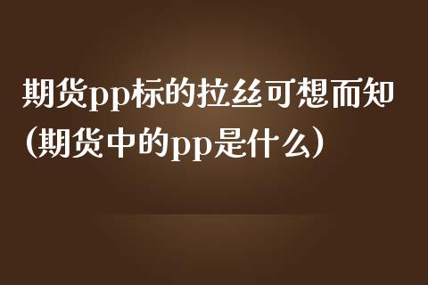 期货pp标的拉丝可想而知(期货中的pp是什么)_https://www.gzbbqc.com_纳指期货_第1张