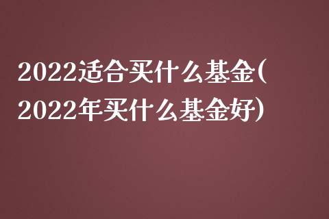 2022适合买什么基金(2022年买什么基金好)_原油期货_第1张_八八期货网 2022适合买什么基金(2022年买什么基金好)_https://www.gzbbqc.com_原油期货_第1张