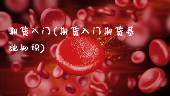 期货入门(期货入门期货基础知识)_https://www.gzbbqc.com_恒指期货_第1张