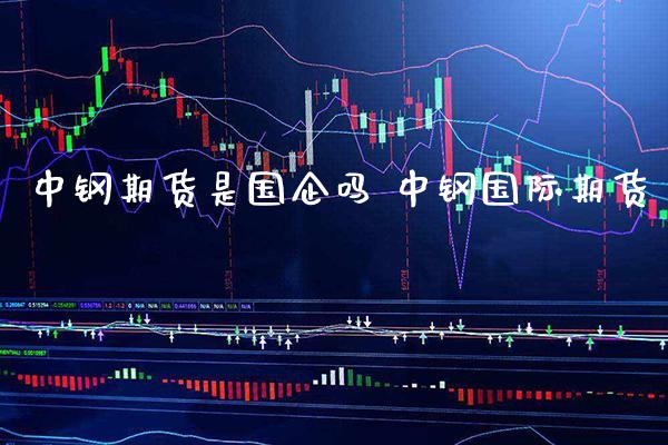 中钢期货是国企吗 中钢国际期货_https://www.gzbbqc.com_股指期货_第1张