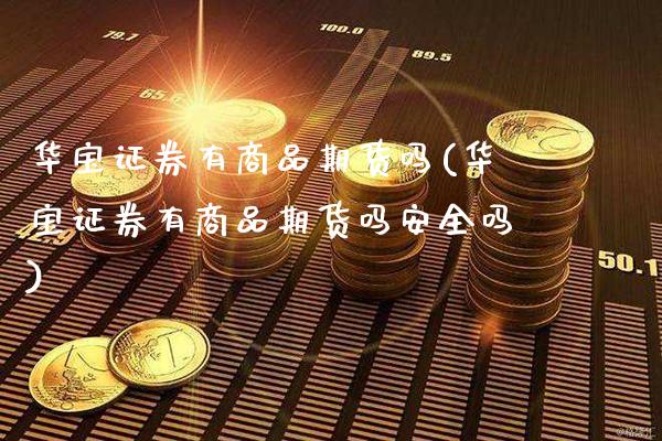 华宝证券有商品期货吗(华宝证券有商品期货吗安全吗)_https://www.gzbbqc.com_道指期货_第1张