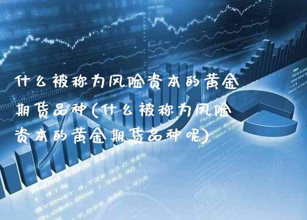 什么被称为风险资本的黄金期货品种(什么被称为风险资本的黄金期货品种呢)_https://www.gzbbqc.com_纳指期货_第1张