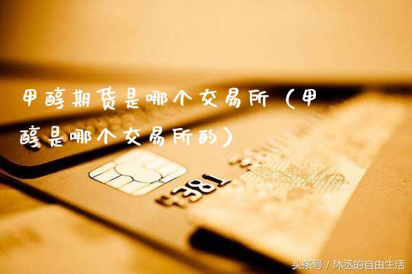 甲醇期货是哪个交易所（甲醇是哪个交易所的）_https://www.gzbbqc.com_纳指期货_第1张