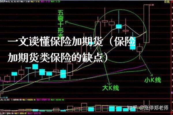 一文读懂保险加期货（保险加期货类保险的缺点）_https://www.gzbbqc.com_纳指期货_第1张
