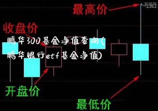 鹏华300基金净值查询(鹏华银行etf基金净值)_https://www.gzbbqc.com_恒指期货_第1张