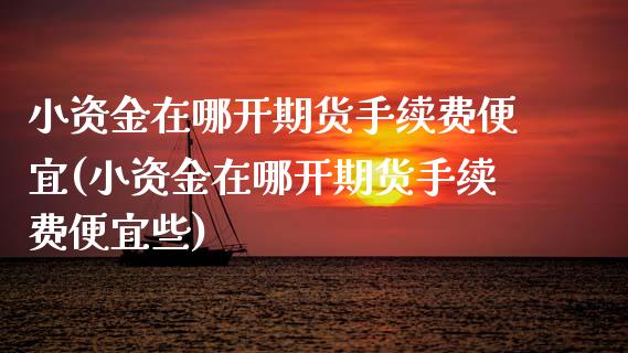 小资金在哪开期货手续费便宜(小资金在哪开期货手续费便宜些)_https://www.gzbbqc.com_股指期货_第1张