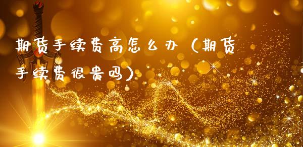 期货手续费高怎么办（期货手续费很贵吗）_https://www.gzbbqc.com_纳指期货_第1张