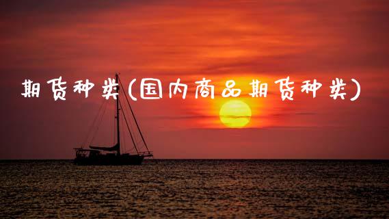 期货种类(国内商品期货种类)_https://www.gzbbqc.com_纳指期货_第1张