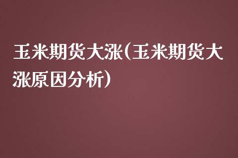 玉米期货大涨(玉米期货大涨原因分析)_https://www.gzbbqc.com_纳指期货_第1张
