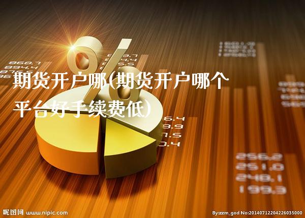 期货开户哪(期货开户哪个平台好手续费低)_https://www.gzbbqc.com_纳指期货_第1张