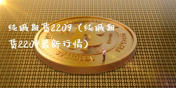 纯碱期货2209（纯碱期货2209最新行情）_https://www.gzbbqc.com_黄金期货_第1张