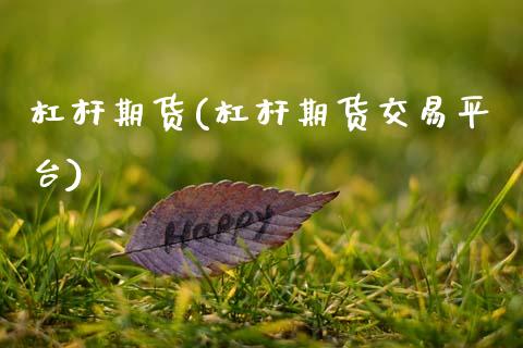 杠杆期货(杠杆期货交易平台)_https://www.gzbbqc.com_恒指期货_第1张