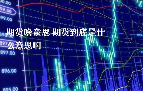 期货啥意思 期货到底是什么意思啊_https://www.gzbbqc.com_期货知识_第1张