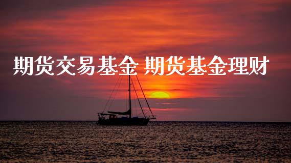 期货交易基金 期货基金理财_https://www.gnhpgy.com_恒指期货_第1张
