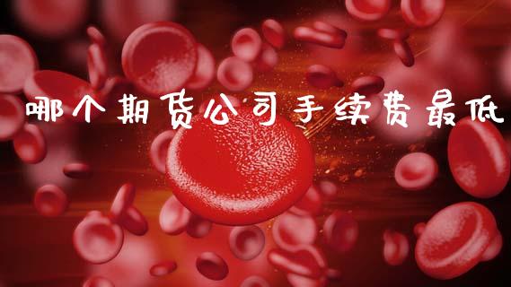 哪个期货公司手续费最低_https://www.gzbbqc.com_德指期货_第1张