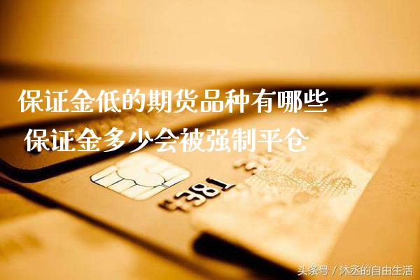 保证金低的期货品种有哪些 保证金多少会被强制平仓_https://www.gzbbqc.com_恒指期货_第1张