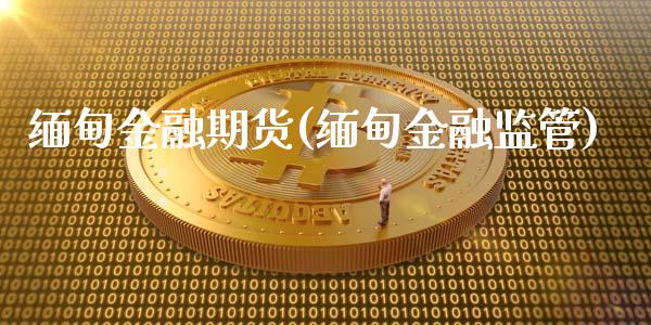 缅甸金融期货(缅甸金融监管)_https://www.gzbbqc.com_原油期货_第1张