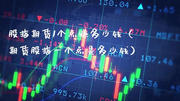 股指期货1个点赚多少钱（期货股指一个点是多少钱）_https://www.gzbbqc.com_原油期货_第1张