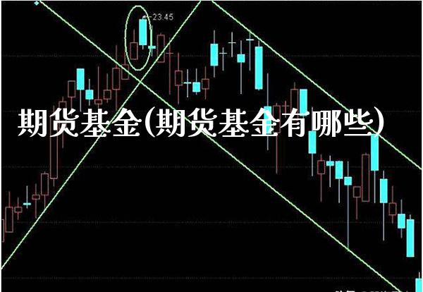 期货基金(期货基金有哪些)_https://www.gzbbqc.com_纳指期货_第1张