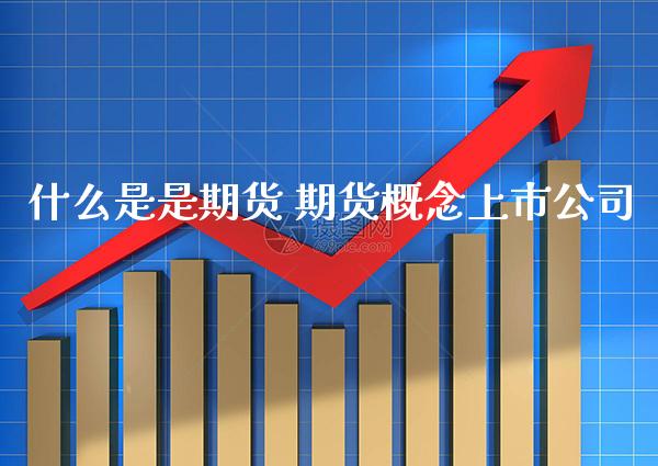 什么是是期货 期货概念上市公司_https://www.gnhpgy.com_期货知识_第1张