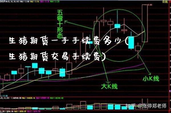 生猪期货一手手续费多少(生猪期货交易手续费)_德指期货_第1张_八八期货网 生猪期货一手手续费多少(生猪期货交易手续费)_https://www.gzbbqc.com_德指期货_第1张