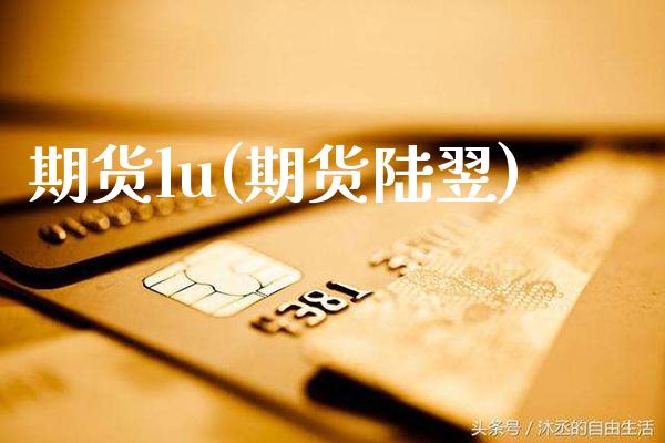 期货lu(期货陆翌)_https://www.gzbbqc.com_黄金期货_第1张