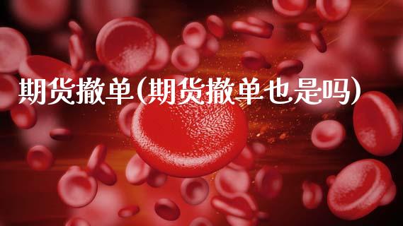 期货撤单(期货撤单也是吗)_https://www.gzbbqc.com_道指期货_第1张